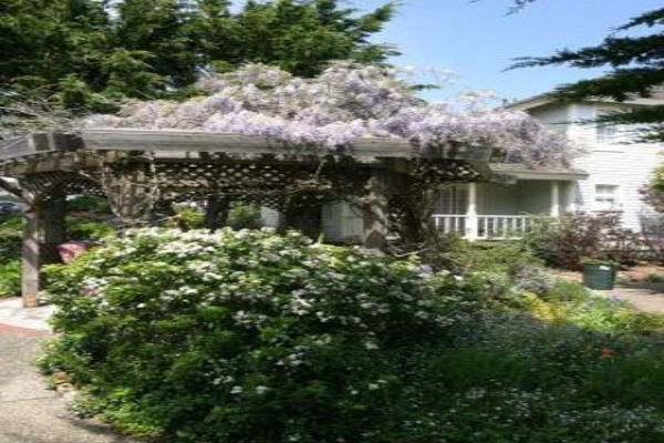 Mendocino Hotel and Garden Suites Mendocino
